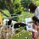 숙이목장 이미지