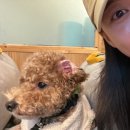 설악막국수 | 가평냉면 부손 설악본점 다녀온 후기｜닭갈비·들기름막국수·비빔막국수 + 애견동반 OK