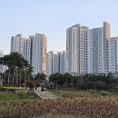 이서혁신123공인중개사사무소 이미지