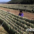 지리산 산청식품