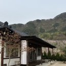 나의작은집 | [춘천 감성숙소] 감성 한옥 독채ㅣ유포리 나의 집 1박 스테이 후기