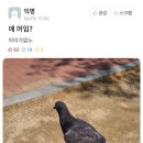 엠엔디(MND) 이미지