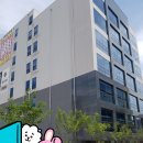 나비특화거리 이미지