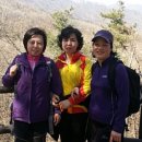 영신숲길2 이미지