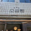 2097 | 강원도 영월 소금빵 맛집 후기 꼭 가야 할 소금빵 맛집 추천