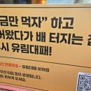 유림-1168 이미지