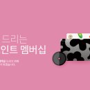 해피토스 이미지