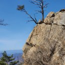 가리산 Daum카페