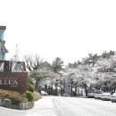 (주)호텔일루아 이미지