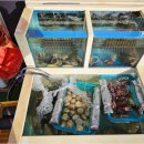 목포신흥초등학교 | 목포 맛집 추천 해산물과 고기 함께 즐긴 후기