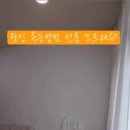 오르래쉬 속눈썹펌&왁싱 네이버블로그