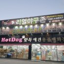 리얼야구존쌍사점 이미지