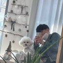 네일오숑 이미지