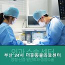 24시 더휴동물의료센터 | 부산24시동물병원 부산 24시 더휴동물의료센터 전문 의료진 진료