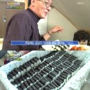 통영충무김밥 - 남동구 소래역로 12 | 통영충무김밥