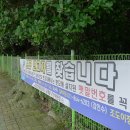 미조상록수림 네이버블로그