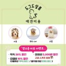 도그드살롱 이미지