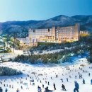 화이트호텔 이미지