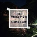 천지연휴게소 | 제주 서귀포 가볼만한 곳 천지연폭포 야간개장 후기, 저녁 산책 코스 추천
