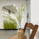 망고 스테이 이미지