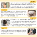 한길동물병원 | 김해강아지분양 추가금 0원, 첫 단추는 베스트펫과 함께해요