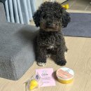 오늘멍밥 이미지