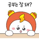 창의체스탐험대 네이버블로그