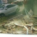 송도꽃게거리 이미지