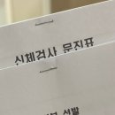 매일매일이 꽤나 신났던 _ 11월 (1)