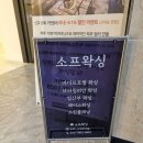 인계로 270번길 22 | 수원 인계동 왁싱샵 후기 – 인계동 소프왁싱에서 첫 세라링, 만족도 최고!