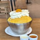 평택 빙수맛집, 평택 과일빙수 더블탭커피로스터즈 망고빙수 후기
