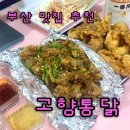 고향 | 부산치킨 고향통닭 후라이드 똥집 포장후기