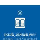 동물보육원 이미지