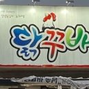 닭꾸바 티스토리