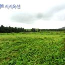 성읍리-23 Daum카페