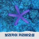 보라카이에서의 보라아재 호핑투어 카라바오 프라이빗 섬에서 즐긴 힐링