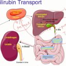 기장i동물의료센터 이미지