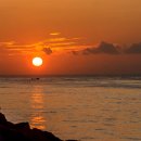 세종약국 이미지