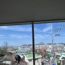 주식회사 반려동물 이미지