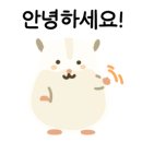 사임당로19길 11 이미지