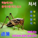 8월23일 일요일 이미지