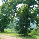 밤이농장 이미지