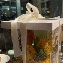 발로르
