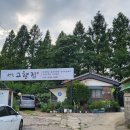 닭방 | 인천 백숙 맛집 고향집 장수동 오리백숙 닭백숙 보양식 후기