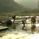 어느 산골 소년의 슬픈 사랑 얘기! [ 원작: 황순원님의 "소나기" ] 이미지