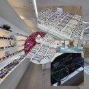 이박사 | 데일리 안경테 추천 사당역 안경점 후기 - 이박사 안경공장