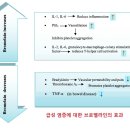 ﻿■ 브로멜라인(bromelain)의 효능 효과 및 섭취 용량 방법 이미지