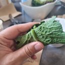 갈비대첩 - 안양시 만안구 박달로 485 | [시흥 매화동 맛집] 아이와 함께 정신없이 흡입하고 온 숯불갈비 전문점 ‘직화대첩 시흥점’ 후기!