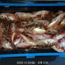 포항시남구장기면양포보건진료소 Daum카페