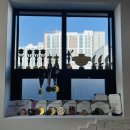 (주)24GYM | 전주 효천지구 PT 버터플라이짐 | 삼천변 러닝까지 가능한 24시 헬스장